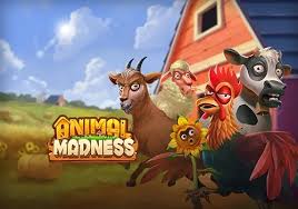 Animal Madness Slot Game
